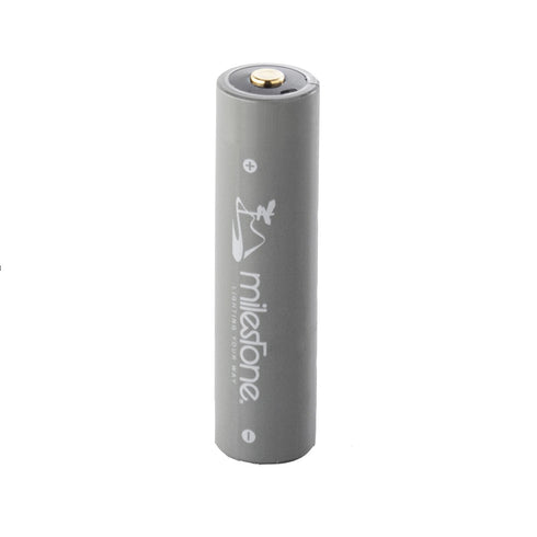 Milestone Smart Mobile Battery